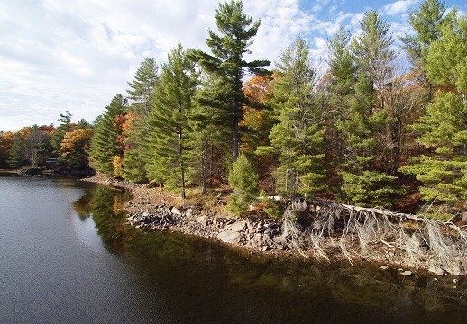 162A McEwen Lane Vacant Land Waterfront Bobs Lake Gurreathomes