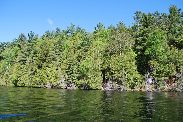 Palmerston Lake Lot Building Lot Acreage North Frontenac Gurreathomes