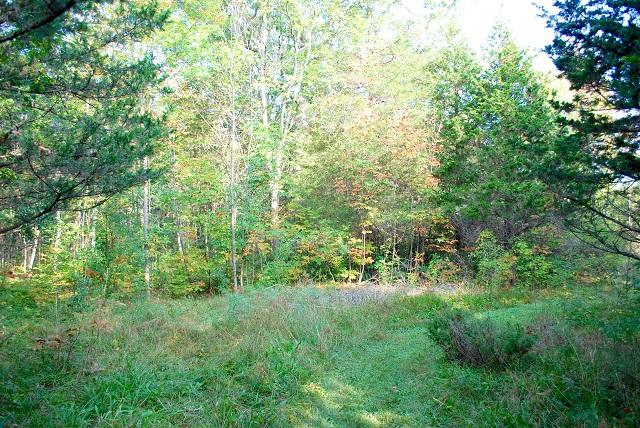 8th Concession Road Lot 3 Acreage Vacant Land Gurreathomes