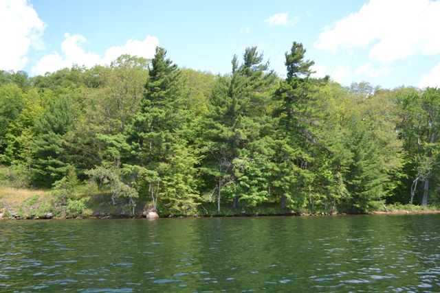 Lot 27 Upper Rideau Lake Waterfront Water Access Gurreathomes