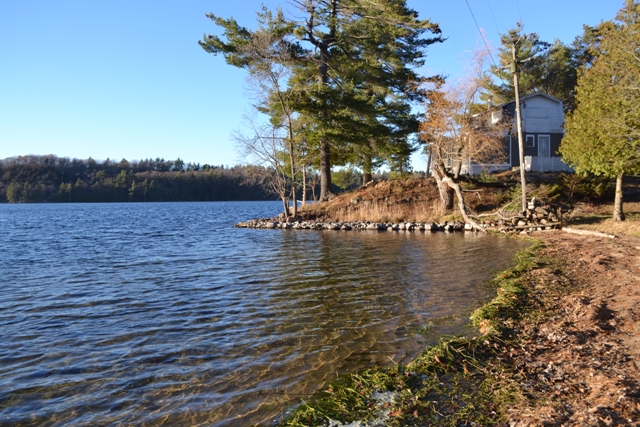 4407 Westport Road Wolfe Lake Waterfront Cottage Acreage Gurreathomes