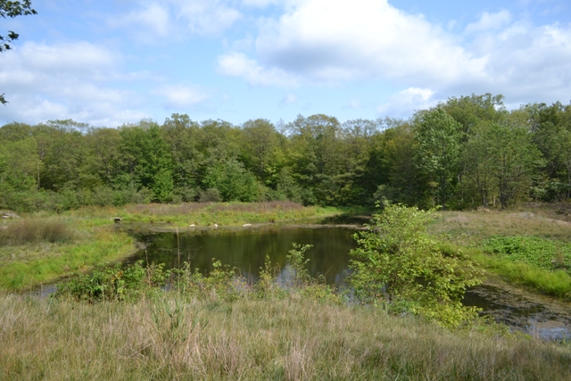 271 Oak Bluffs Road Bobs Lake Access Acreage Gurreathomes