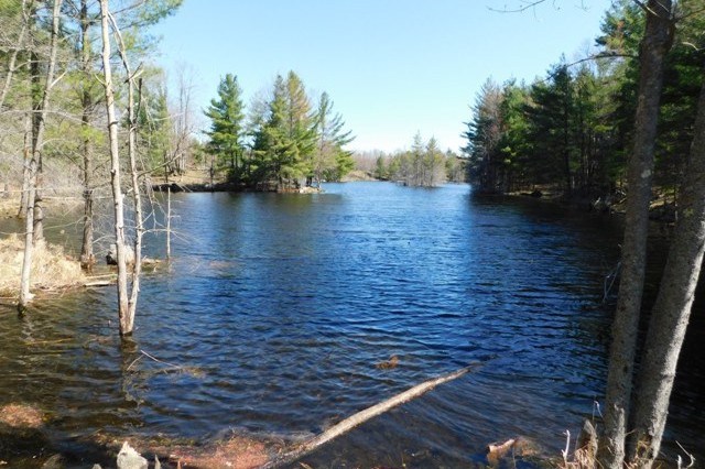 Devil Lake Road Lot, South Frontenac, Ontario, Gurreathomes.com